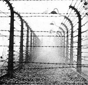 27 gennaio :: Giornata della memoria 322721530_shoah